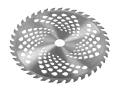 1G7A9686 (Copy).jpg