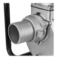 KRAFT&amp;DELE_STANDARD_KD771_007755_wybrane.jpg