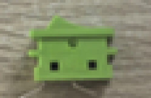 2799.jpg