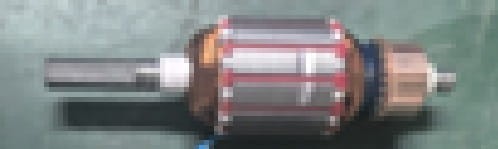 2785.jpg