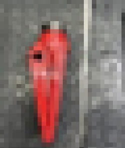 2738.jpg