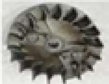 2599.jpg