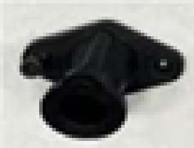 2598.jpg