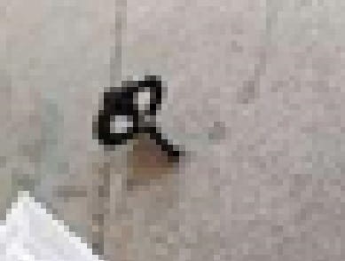 2574.jpg