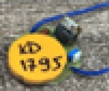 2541.jpg