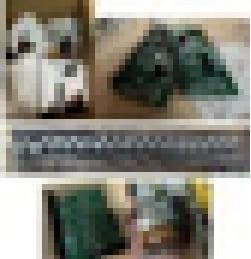 2498.jpg