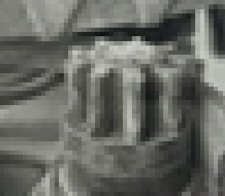 2464.jpg