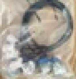 2189.jpg