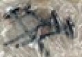 2176.jpg