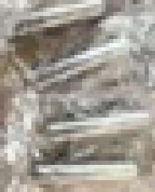 2163.jpg