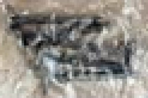 2117a.jpg