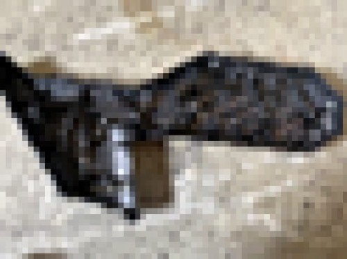 1824.jpg
