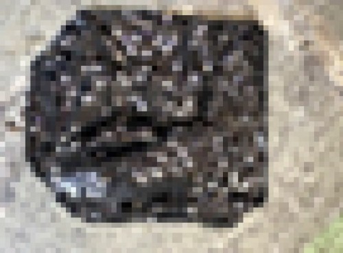 1821.jpg