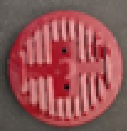 1398.jpg