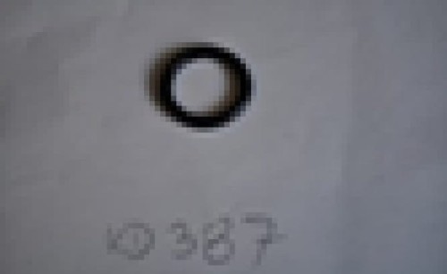 1257.jpg