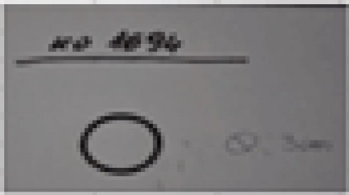 1238.jpg
