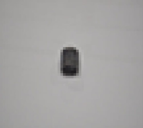 1096.jpg