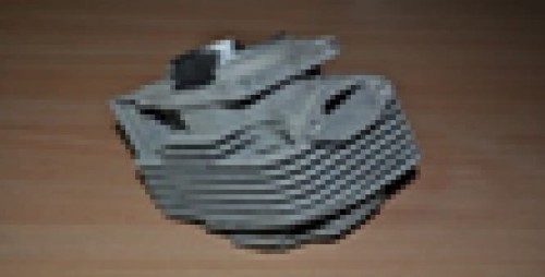 491.jpg