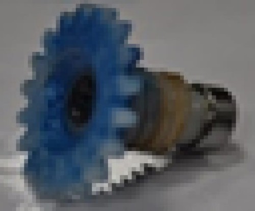 736.jpg