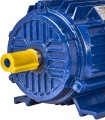 KRAFT&amp;DELE_STANDARD_KD1813_005673.jpg