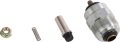 nr1522-2.png