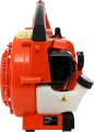 IMG_2499.png
