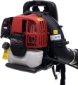 DSC00650.png