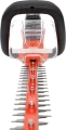 IMG_0167.png