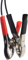 IMG_0169.png