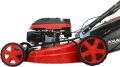 IMG_0008.png