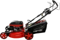 IMG_8667.png