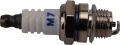 Photo1.jpg