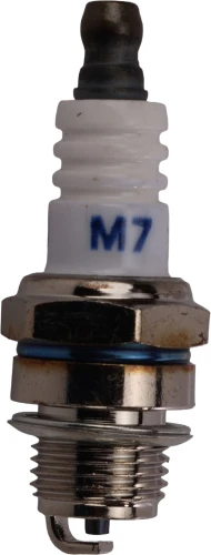 Photo3.jpg