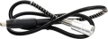 IMG_1090.png