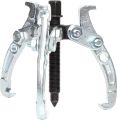 foto (10).png