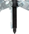 foto (11).png
