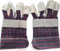 IMG_0020.png
