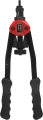 IMG_0193.png