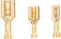DSC04907a.png