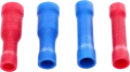 DSC04901.png