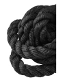 1G7A0332.jpg